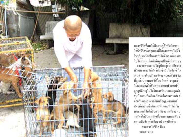 photo1