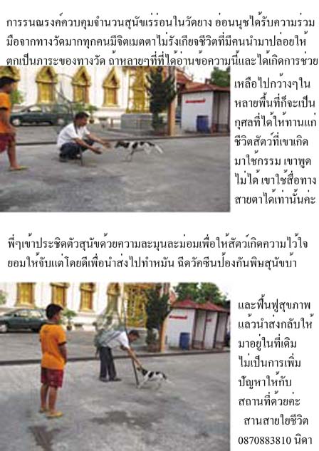 photo3