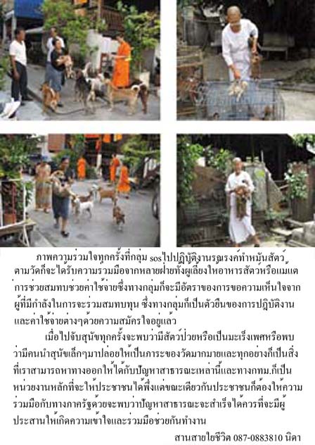 photo4
