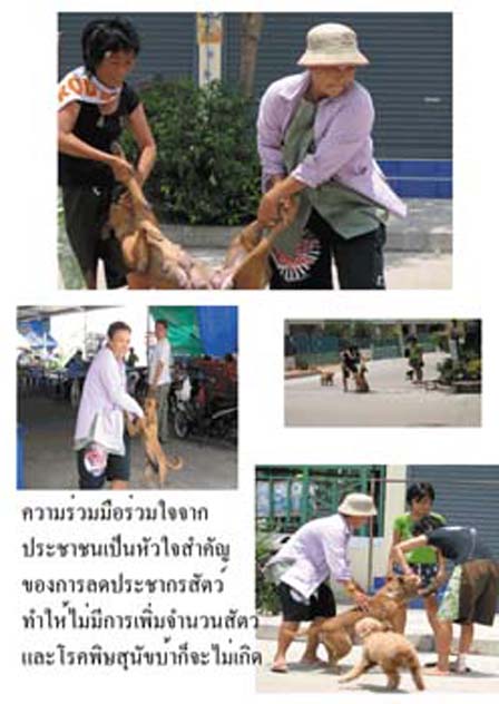 photo6