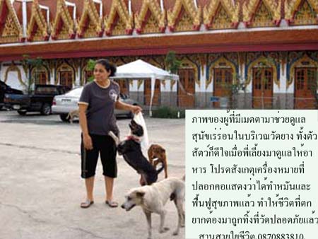 photo8