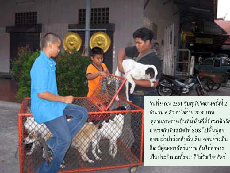 photo9