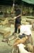 File3345
